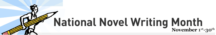 NaNoWriMo Banner Logo